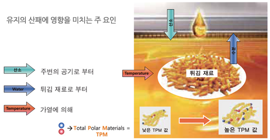 TPM측정 -  튀김 공정에서 일어나는 현상